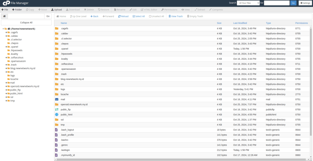 halaman file manager cpanel