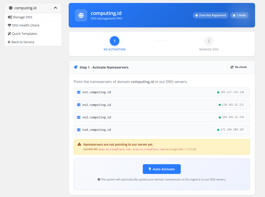tampilan utama DNS Management PRO di panel layanan