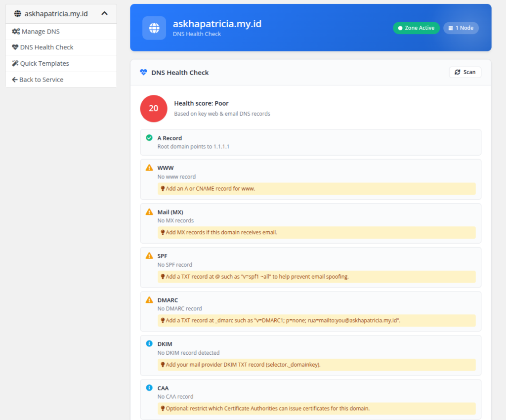tampilan DNS Health Check dengan skor dan daftar pemeriksaan